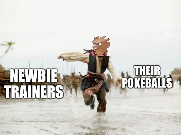 Jack Sparrow Being Chased | THEIR POKEBALLS; NEWBIE TRAINERS | image tagged in memes,jack sparrow being chased | made w/ Imgflip meme maker