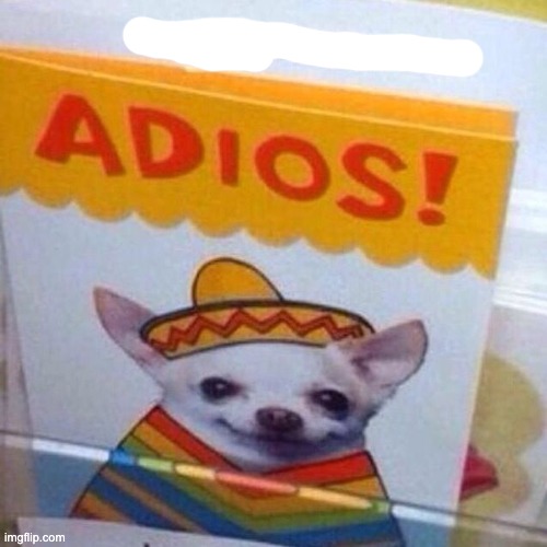 chihuahua adios | image tagged in chihuahua adios | made w/ Imgflip meme maker