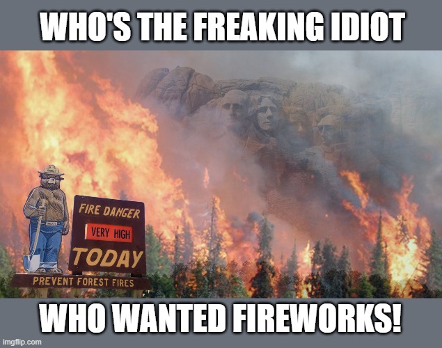 Trump orders massive fireworks display at Mount Rushmore despite fire danger | WHO'S THE FREAKING IDIOT; WHO WANTED FIREWORKS! | image tagged in donald trump,fireworks,mount rushmore,4th of july,forest fire,donald trump is an idiot | made w/ Imgflip meme maker