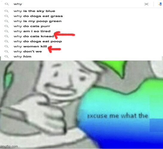 Stupid searches | image tagged in excuse me wtf blank template,google search | made w/ Imgflip meme maker