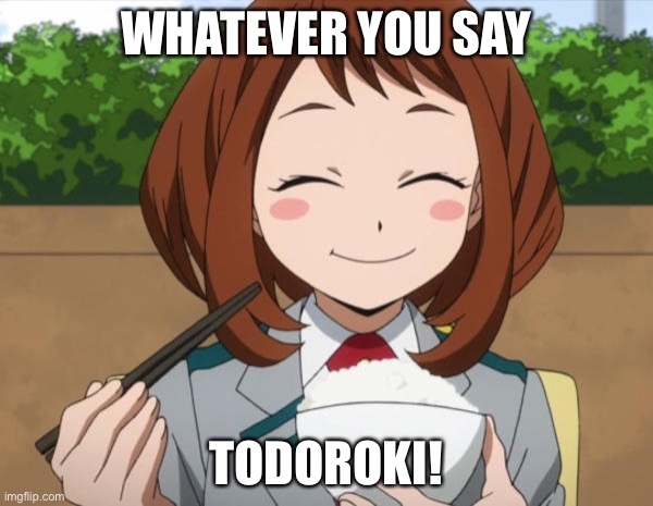 WHATEVER YOU SAY TODOROKI! | made w/ Imgflip meme maker