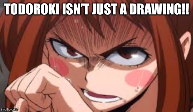 TODOROKI ISN’T JUST A DRAWING!! | made w/ Imgflip meme maker