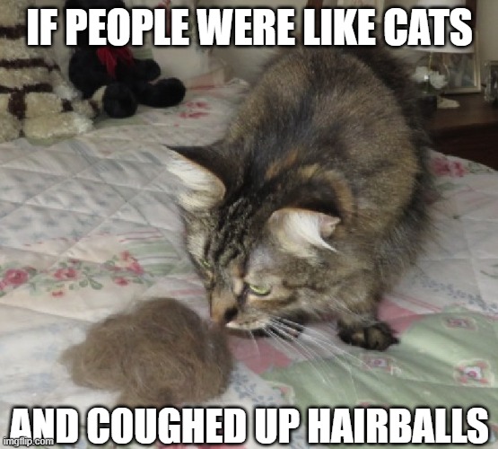 IF PEOPLE WERE LIKE CATS AND COUGHED UP HAIRBALLS | made w/ Imgflip meme maker