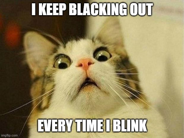 Scared Cat Meme | I KEEP BLACKING OUT EVERY TIME I BLINK | image tagged in memes,scared cat | made w/ Imgflip meme maker