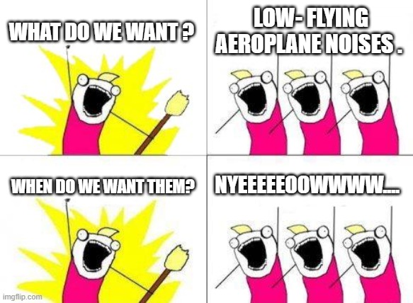 What Do We Want Meme | WHAT DO WE WANT ? LOW- FLYING AEROPLANE NOISES . NYEEEEEOOWWWW.... WHEN DO WE WANT THEM? | image tagged in memes,what do we want | made w/ Imgflip meme maker