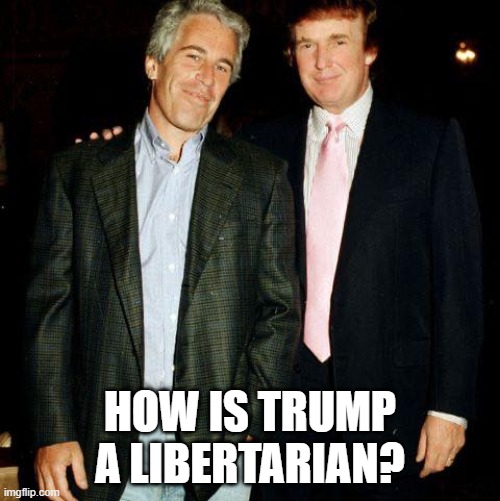 HOW IS TRUMP A LIBERTARIAN? | image tagged in donald trump | made w/ Imgflip meme maker