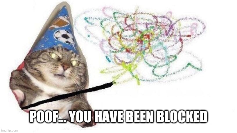 Wizard Cat | POOF... YOU HAVE BEEN BLOCKED | image tagged in wizard cat | made w/ Imgflip meme maker