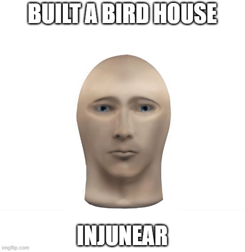 injunear | BUILT A BIRD HOUSE; INJUNEAR | image tagged in mememan,injunear | made w/ Imgflip meme maker