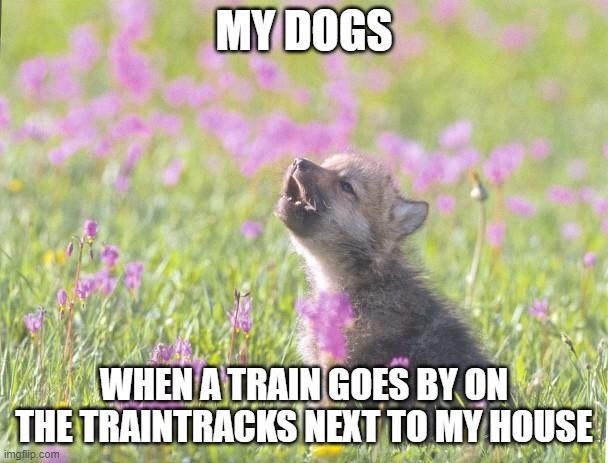 Baby Insanity Wolf |  MY DOGS; WHEN A TRAIN GOES BY ON THE TRAINTRACKS NEXT TO MY HOUSE | image tagged in memes,baby insanity wolf | made w/ Imgflip meme maker