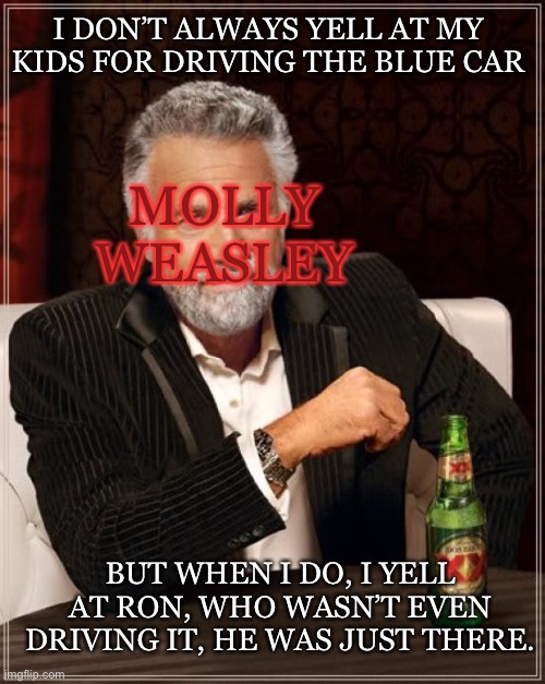 Ever think of that? | I DON’T ALWAYS YELL AT MY KIDS FOR DRIVING THE BLUE CAR; MOLLY WEASLEY; BUT WHEN I DO, I YELL AT RON, WHO WASN’T EVEN DRIVING IT, HE WAS JUST THERE. | image tagged in memes,the most interesting man in the world | made w/ Imgflip meme maker