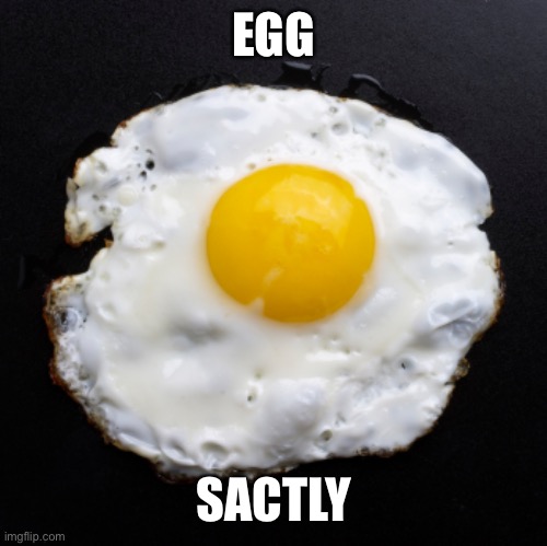 Eggs | EGG SACTLY | image tagged in eggs | made w/ Imgflip meme maker