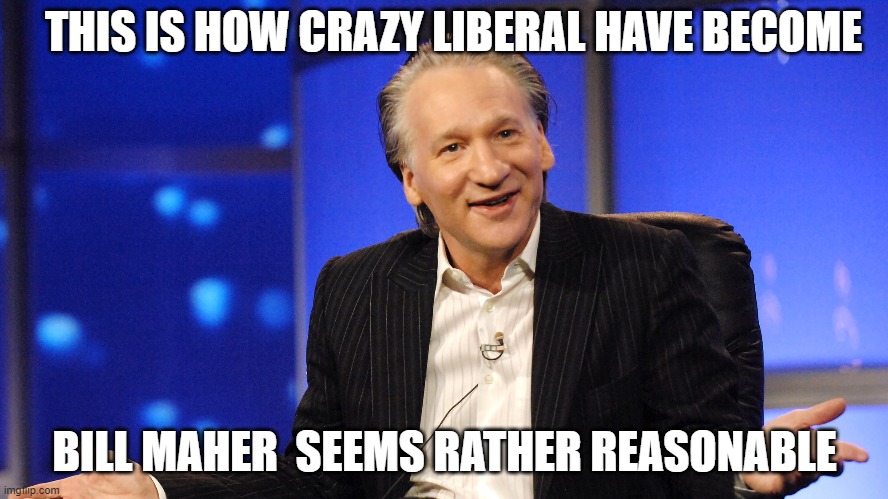 Bill naeher seems resonable | THIS IS HOW CRAZY LIBERAL HAVE BECOME; BILL MAHER  SEEMS RATHER REASONABLE | image tagged in liberals | made w/ Imgflip meme maker