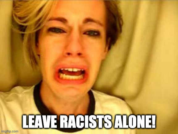 Leave Britney Alone | LEAVE RACISTS ALONE! | image tagged in leave britney alone | made w/ Imgflip meme maker