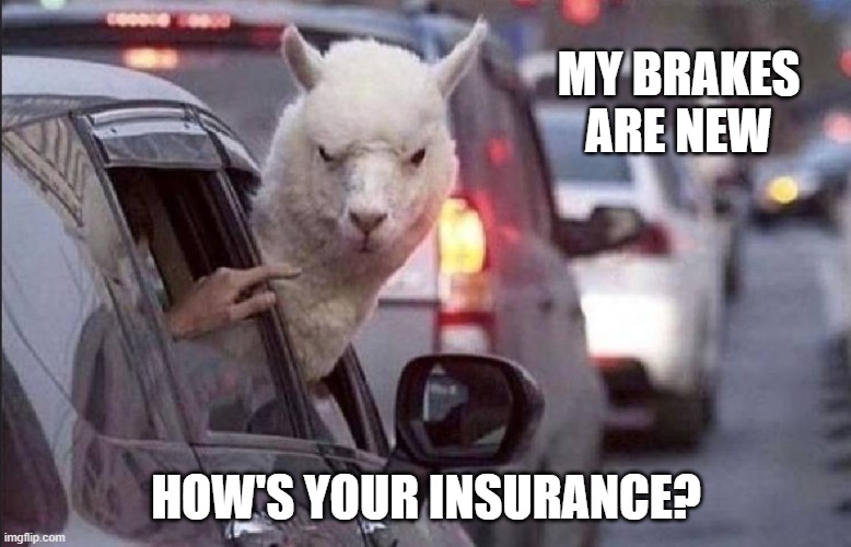 Here's one for the tailgaters | MY BRAKES ARE NEW; HOW'S YOUR INSURANCE? | image tagged in funny,llamas,bad drivers,asshole driver,driving,traffic jam | made w/ Imgflip meme maker