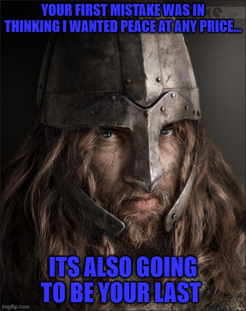 viking | YOUR FIRST MISTAKE WAS IN THINKING I WANTED PEACE AT ANY PRICE... ITS ALSO GOING TO BE YOUR LAST | image tagged in viking | made w/ Imgflip meme maker