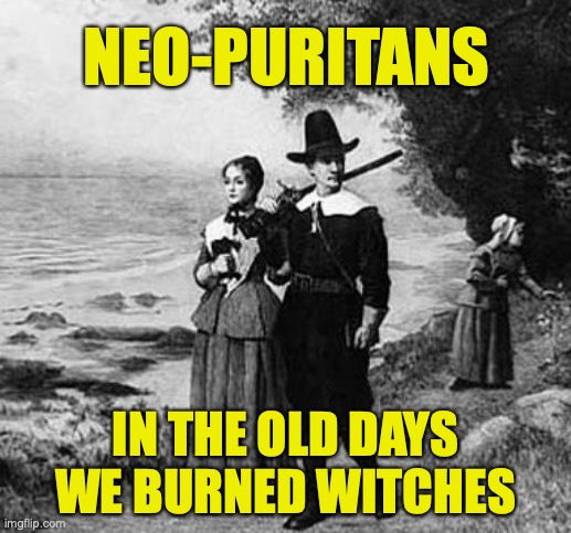 Neo-puritans | NEO-PURITANS; IN THE OLD DAYS WE BURNED WITCHES | image tagged in free speech,intolerance | made w/ Imgflip meme maker