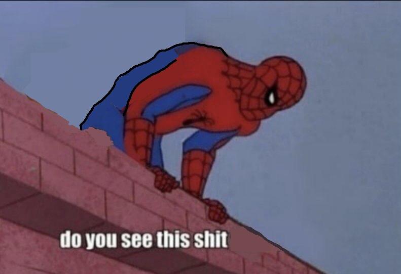 Spider-Man Do You See this Blank Meme Template