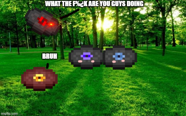 Chirp is angry boi | WHAT THE F%¿K ARE YOU GUYS DOING; BRUH | image tagged in grass and trees,minecraft | made w/ Imgflip meme maker