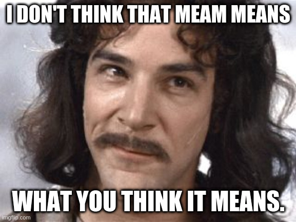 I Do Not Think That Means What You Think It Means | I DON'T THINK THAT MEAM MEANS; WHAT YOU THINK IT MEANS. | image tagged in i do not think that means what you think it means | made w/ Imgflip meme maker