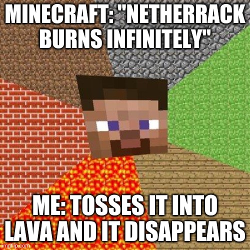 Minecraft Logic #1 | MINECRAFT: "NETHERRACK BURNS INFINITELY"; ME: TOSSES IT INTO LAVA AND IT DISAPPEARS | image tagged in minecraft steve,minecraft | made w/ Imgflip meme maker