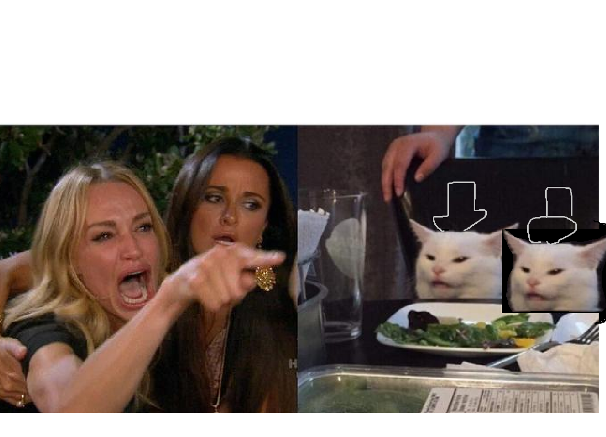 Woman screaming at 2 cats Blank Meme Template