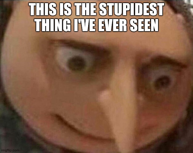 gru meme | THIS IS THE STUPIDEST THING I'VE EVER SEEN | image tagged in gru meme | made w/ Imgflip meme maker