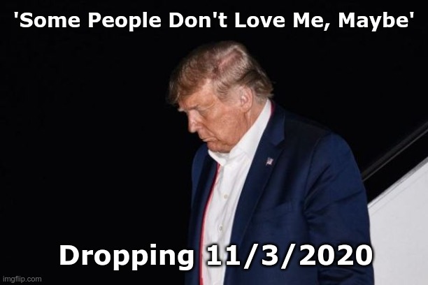 Trump walk of shame | 'Some People Don't Love Me, Maybe'; Dropping 11/3/2020 | image tagged in trump walk of shame | made w/ Imgflip meme maker