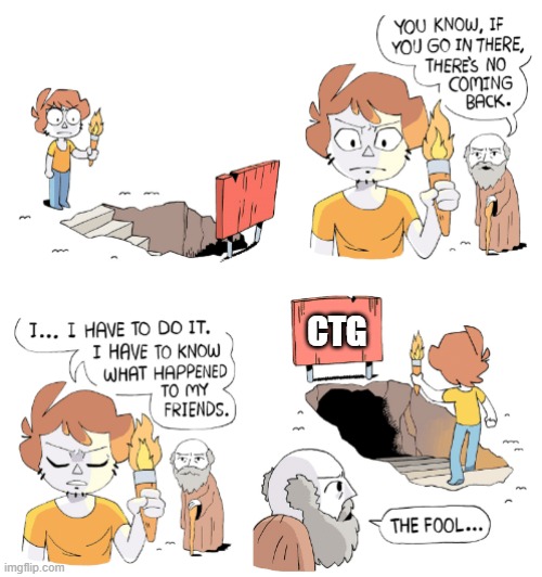 The fool | CTG | image tagged in the fool | made w/ Imgflip meme maker