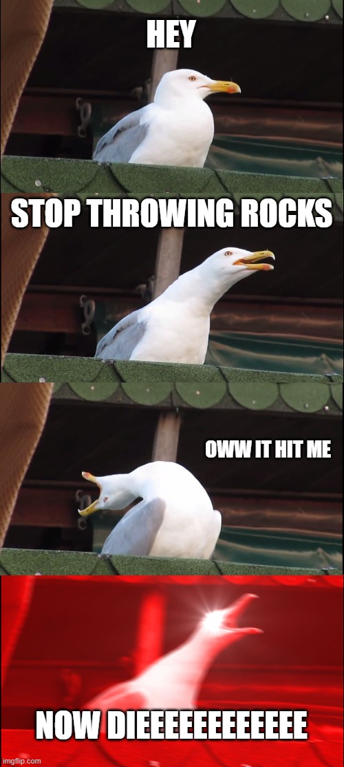 Inhaling Seagull | HEY; STOP THROWING ROCKS; OWW IT HIT ME; NOW DIEEEEEEEEEEEE | image tagged in memes,inhaling seagull | made w/ Imgflip meme maker
