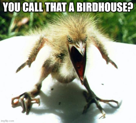 Angry bird | YOU CALL THAT A BIRDHOUSE? | image tagged in angry bird | made w/ Imgflip meme maker