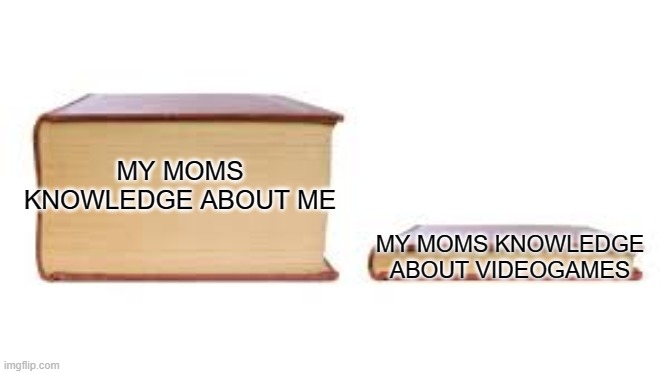 Big book small book | MY MOMS KNOWLEDGE ABOUT ME; MY MOMS KNOWLEDGE ABOUT VIDEOGAMES | image tagged in big book small book | made w/ Imgflip meme maker