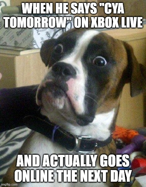 Surprised Dog | WHEN HE SAYS "CYA TOMORROW" ON XBOX LIVE; AND ACTUALLY GOES ONLINE THE NEXT DAY | image tagged in surprised dog | made w/ Imgflip meme maker