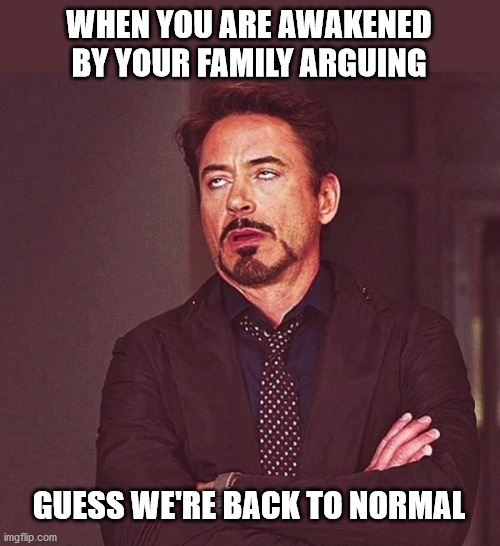 My brother was shouting at my mum that she's crazy, so sad. I hate this shit | WHEN YOU ARE AWAKENED BY YOUR FAMILY ARGUING; GUESS WE'RE BACK TO NORMAL | image tagged in bored rdj | made w/ Imgflip meme maker