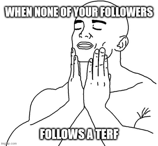 Massa terf pel món | WHEN NONE OF YOUR FOLLOWERS; FOLLOWS A TERF | image tagged in satisfaction | made w/ Imgflip meme maker
