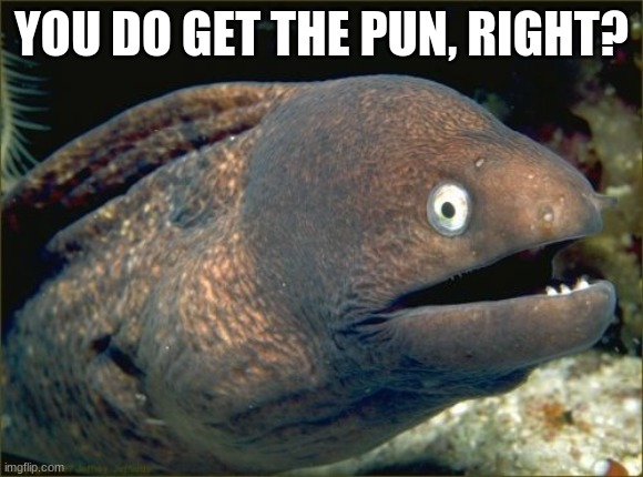 Bad Joke Eel Meme | YOU DO GET THE PUN, RIGHT? | image tagged in memes,bad joke eel | made w/ Imgflip meme maker