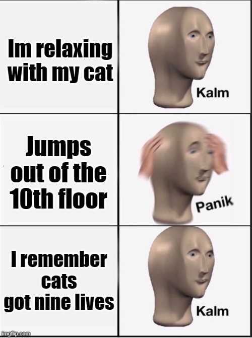 Reverse kalm panik | Im relaxing with my cat; Jumps out of the 10th floor; I remember cats got nine lives | image tagged in reverse kalm panik | made w/ Imgflip meme maker
