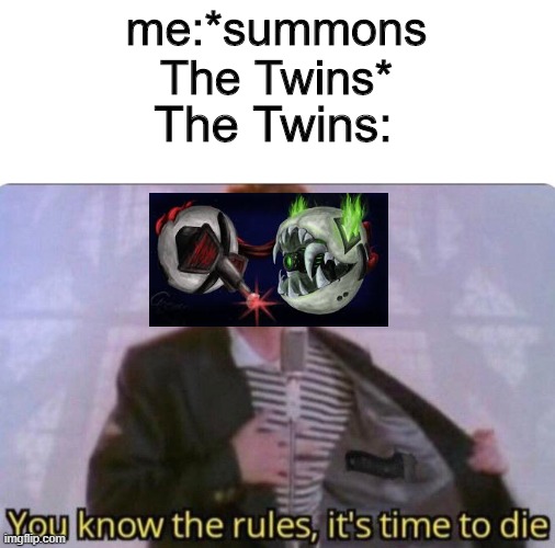 the twins | me:*summons The Twins*; The Twins: | image tagged in memes,gaming,terraria,rick astley,rick astley you know the rules,the twins | made w/ Imgflip meme maker