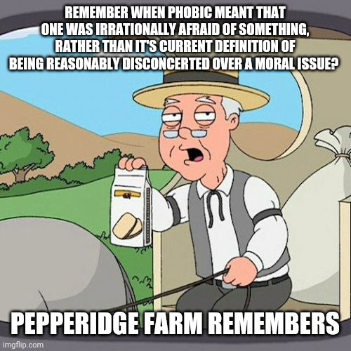 Liberals won't look at it this way, but that's really what it means at this point. | REMEMBER WHEN PHOBIC MEANT THAT ONE WAS IRRATIONALLY AFRAID OF SOMETHING, RATHER THAN IT'S CURRENT DEFINITION OF BEING REASONABLY DISCONCERTED OVER A MORAL ISSUE? PEPPERIDGE FARM REMEMBERS | image tagged in memes,pepperidge farm remembers | made w/ Imgflip meme maker