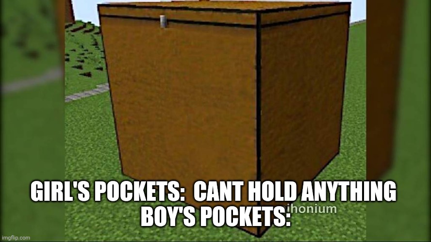Yes, dis is truth | GIRL'S POCKETS:  CANT HOLD ANYTHING 
BOY'S POCKETS: | image tagged in boy pocket,gif | made w/ Imgflip meme maker