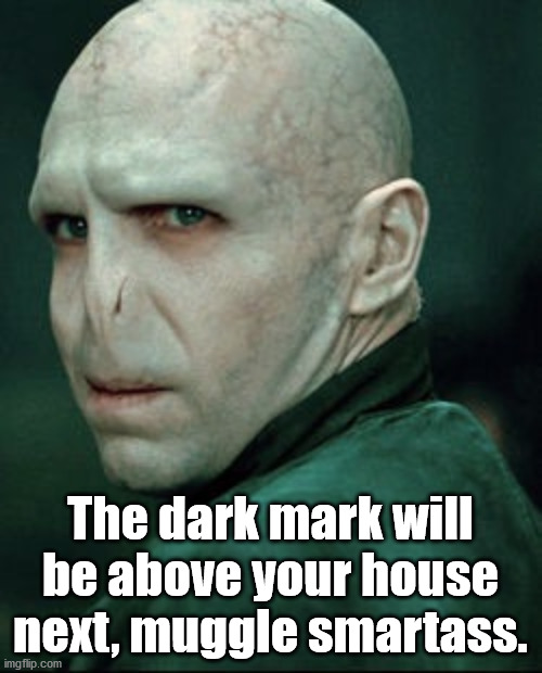 Voldemort | The dark mark will be above your house next, muggle smartass. | image tagged in voldemort | made w/ Imgflip meme maker