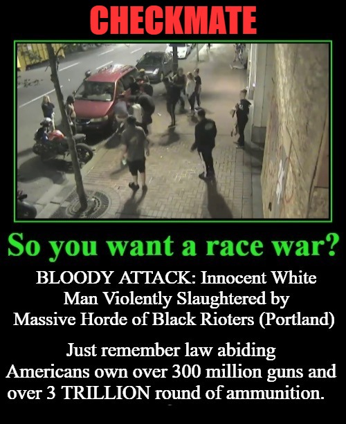 So You Want a Race War? | CHECKMATE | image tagged in race war,checkmate,2nd amendment,retribution,your move,gun rights | made w/ Imgflip meme maker