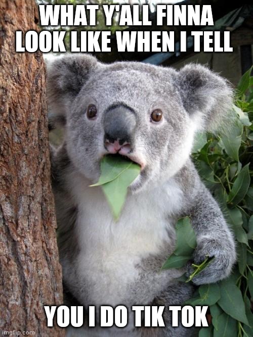 Surprised Koala Meme | WHAT Y'ALL FINNA LOOK LIKE WHEN I TELL; YOU I DO TIK TOK | image tagged in memes,surprised koala | made w/ Imgflip meme maker