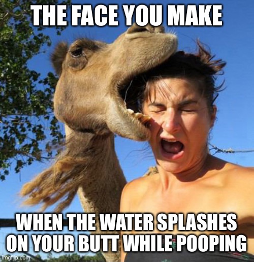 camel bite | THE FACE YOU MAKE; WHEN THE WATER SPLASHES ON YOUR BUTT WHILE POOPING | image tagged in camel bite | made w/ Imgflip meme maker