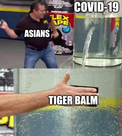 Tiger balm | COVID-19; ASIANS; TIGER BALM | image tagged in flex tape | made w/ Imgflip meme maker