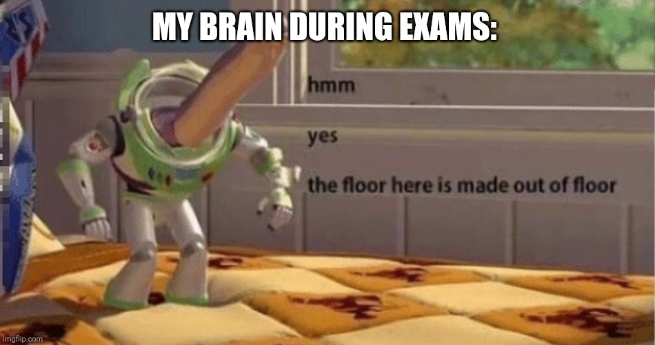 Hmm yes | MY BRAIN DURING EXAMS: | image tagged in so true memes | made w/ Imgflip meme maker