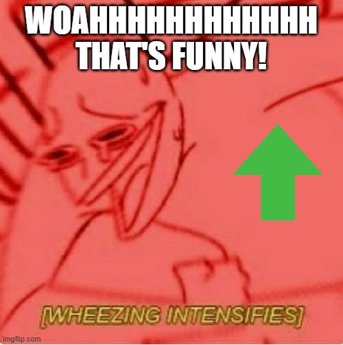 Wheeze | WOAHHHHHHHHHHHH THAT'S FUNNY! | image tagged in wheeze | made w/ Imgflip meme maker
