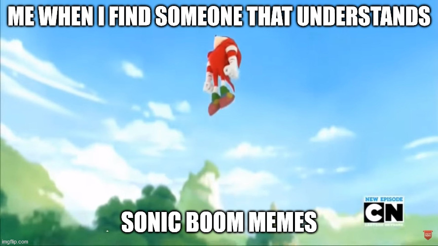 Knuckles Flies - Sonic Boom | ME WHEN I FIND SOMEONE THAT UNDERSTANDS SONIC BOOM MEMES | image tagged in knuckles flies - sonic boom | made w/ Imgflip meme maker