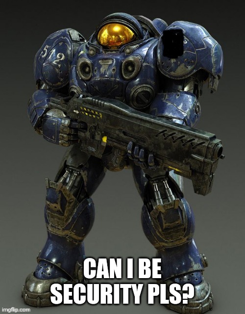 CAN I BE SECURITY PLS? | image tagged in security | made w/ Imgflip meme maker