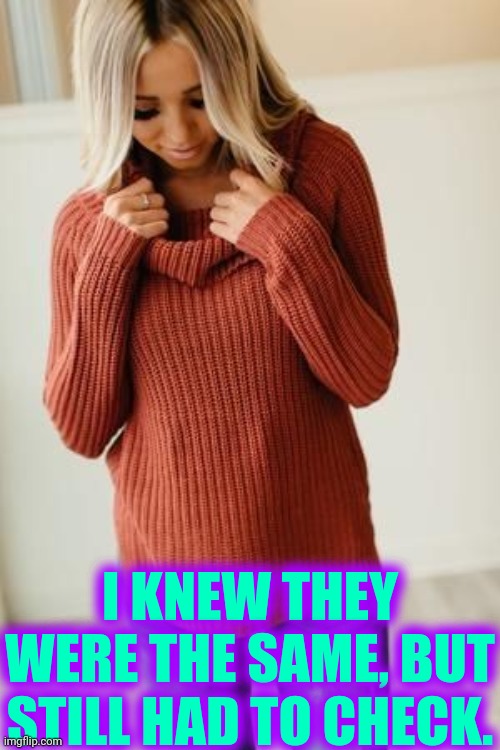 I'd check, too... well, if I had 'em. | I KNEW THEY WERE THE SAME, BUT STILL HAD TO CHECK. | image tagged in vince vance,blondes,memes,pretty girl,sweater,check out | made w/ Imgflip meme maker