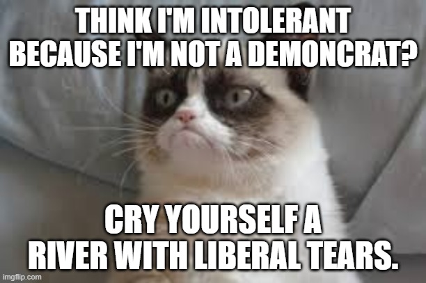 Grumpy cat | THINK I'M INTOLERANT BECAUSE I'M NOT A DEMONCRAT? CRY YOURSELF A RIVER WITH LIBERAL TEARS. | image tagged in grumpy cat | made w/ Imgflip meme maker